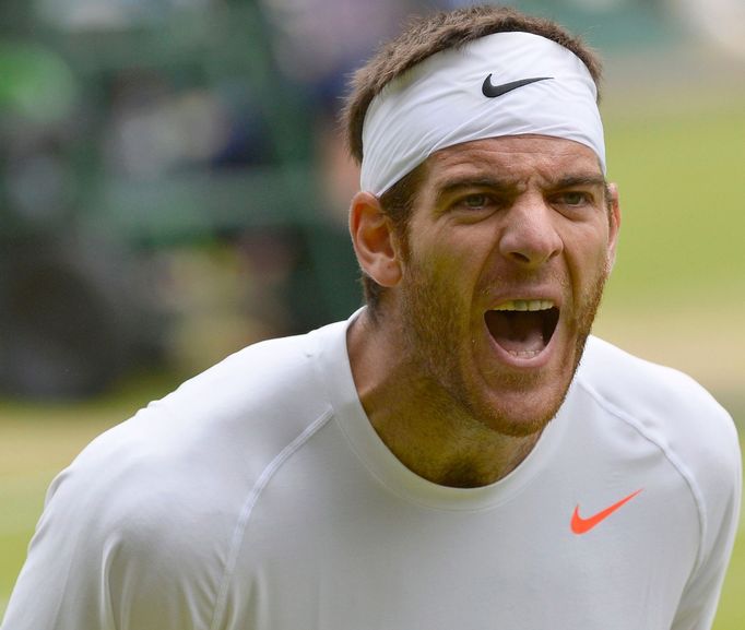 Tenis, Wimbledon, 2013: Juan Martin del Potro