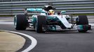 F1 2017: Mercedes W08 EQ Power+