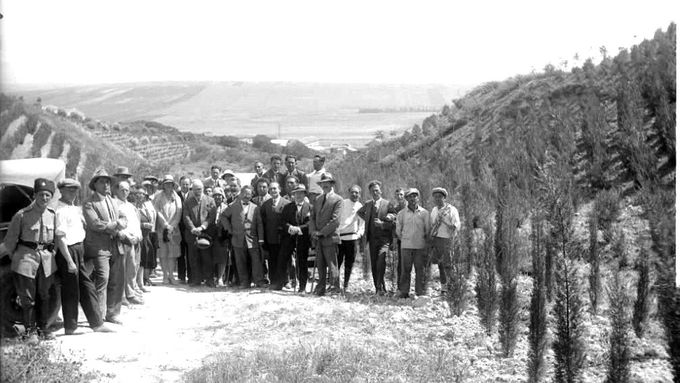 Snímek Masarykova lesa z roku 1930. Nachází se v údolí Jezreel u kibucu Sarid založeného převážně českými průkopníky.