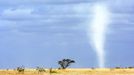 TORNADO in the savannah of AMBOSELI NATIONAL PARK east africa KENYA kenia ZEBRA vortex tornado ho plain savanna savanne trunk proboscis snout Hurricane Landscape Rural Twister storm danger dangerous White destroy destruction wind storm stormy air breath blow thunderstorm power vortex whirl swirl dust dusty Environment, Landscape blue sky sun tree yellow clouds field move moving weather summer dry, whirlwind, funnel, funnel rotate speed, cyclone, BIOSPHERE hauser expedition ADVENTURE LANDSCAPE, HORIZONTAL, TOURISM, HOLIDAY, SCENIC, AFRICAN, SAFARI, EXPLORE, animal EXPLORATION journey eastafrica afrika african wild wilderness kenia Eco-tourism Protecting the natural ecotourism eco tourism protection out of civilization Conservation animals landscape formidable impressing potent imposant imposing impress impressing impressed wow wowing wowed breath-taking breathtaking yellow orange blue nationalpark national park Kenya East Africa