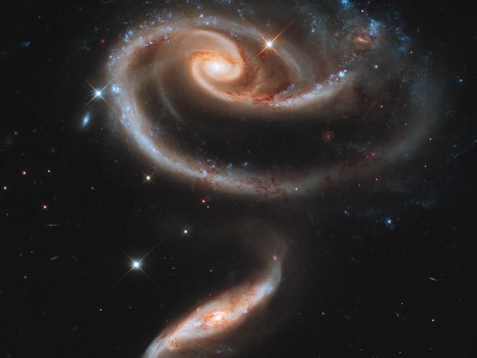 A 'Rose' Made of Galaxies In celebration of the twenty-first anniversary of the Hubble Space Telescope's deployment in April 2011, astronomers at the Space Telescope Science Institute pointed Hubble's eye to an especially photogenic group of interacting galaxies called Arp 273. The larger of the spiral galaxies, known as UGC 1810, has a disk that is tidally distorted into a rose-like shape by the gravitational tidal pull of the companion galaxy below it, known as UGC 1813. A swath of blue jewels across the top is the combined light from clusters of intensely bright and hot young blue stars. These massive stars glow fiercely in ultraviolet light. The smaller, nearly edge-on companion shows distinct signs of intense star formation at its nucleus, perhaps triggered by the encounter with the companion galaxy. A series of uncommon spiral patterns in the large galaxy is a tell-tale sign of interaction. The large, outer arm appears partially as a ring, a feature seen when interacting galaxies actually pass through one another. This suggests that the smaller companion actually dived deep, but off-center, through UGC 1810. The inner set of spiral arms is highly warped out of the plane with one of the arms going behind the bulge and coming back out the other side. How these two spiral patterns connect is still not precisely known. The interaction was imaged on Dec. 17, 2010, with Hubble's Wide Field Camera 3 (WFC3). This Hubble image is a composite of data taken with three separate filters on WFC3 that allow a broad range of wavelengths covering the ultraviolet, blue and red portions of the spectrum. Image Credit: NASA, ESA, and the Hubble Heritage Team (STScI/AURA)