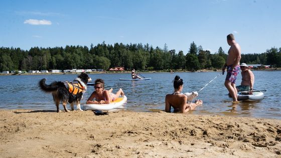 Jako v Chorvatsku. Největší rybník na Vysočině nabízí koupání s písčitými plážemi