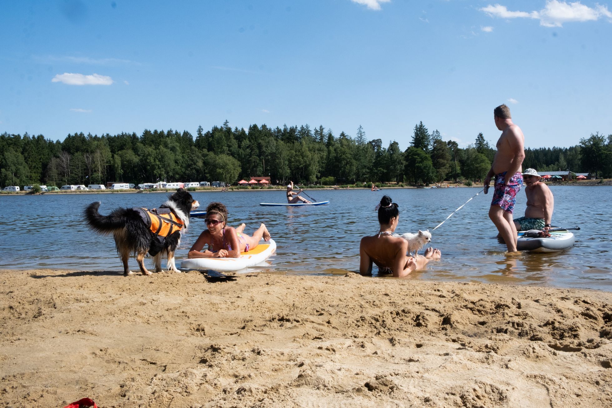 Moře Vysočiny - Velké Dářko