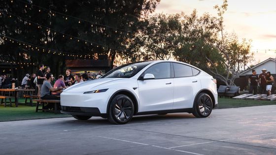 Překvapí cenou i zvláštními nápady. Levná Tesla bude nakonec možná až moc laciná