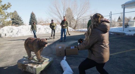 Medvědi ztrácejí plachost a přibližují se k lidským obydlím.