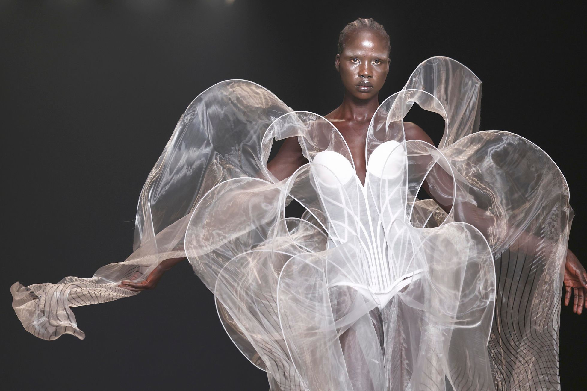 Móda, Francie, Paříž, módní přehlídka, Iris van Herpen