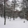 Sníh v Nuslích