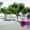 Young Architect Award