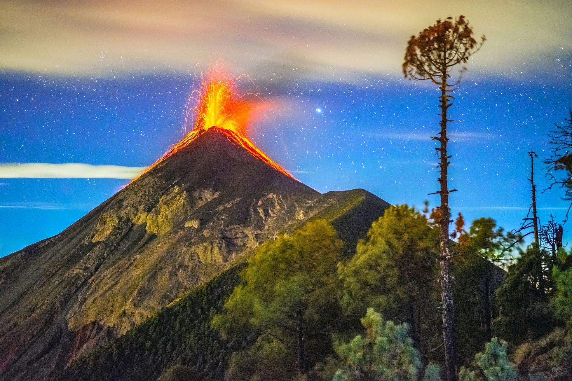 Fotografie Pavla Svobody