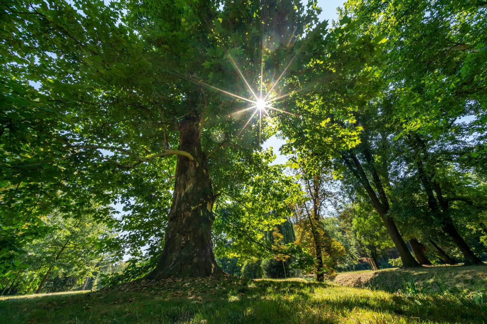 Czech Press Photo 2018 - snímky nominované na Grant Prahy