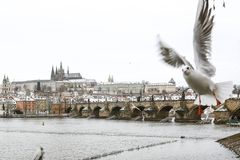Praha dá letos na investice téměř dvacet miliard, nejvíc peněz půjde na dopravu