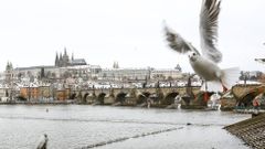 Ilustrační foto, zima, doprava, Praha, holub, racek, práci, Pražský Hrad, Karlův most, panorama
