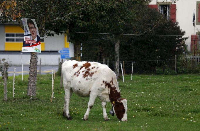 O přízeň voličů se bojovalo doslova na každém kroku. Na snímku plakát jednoho z kandidátů konzervativní SVP.