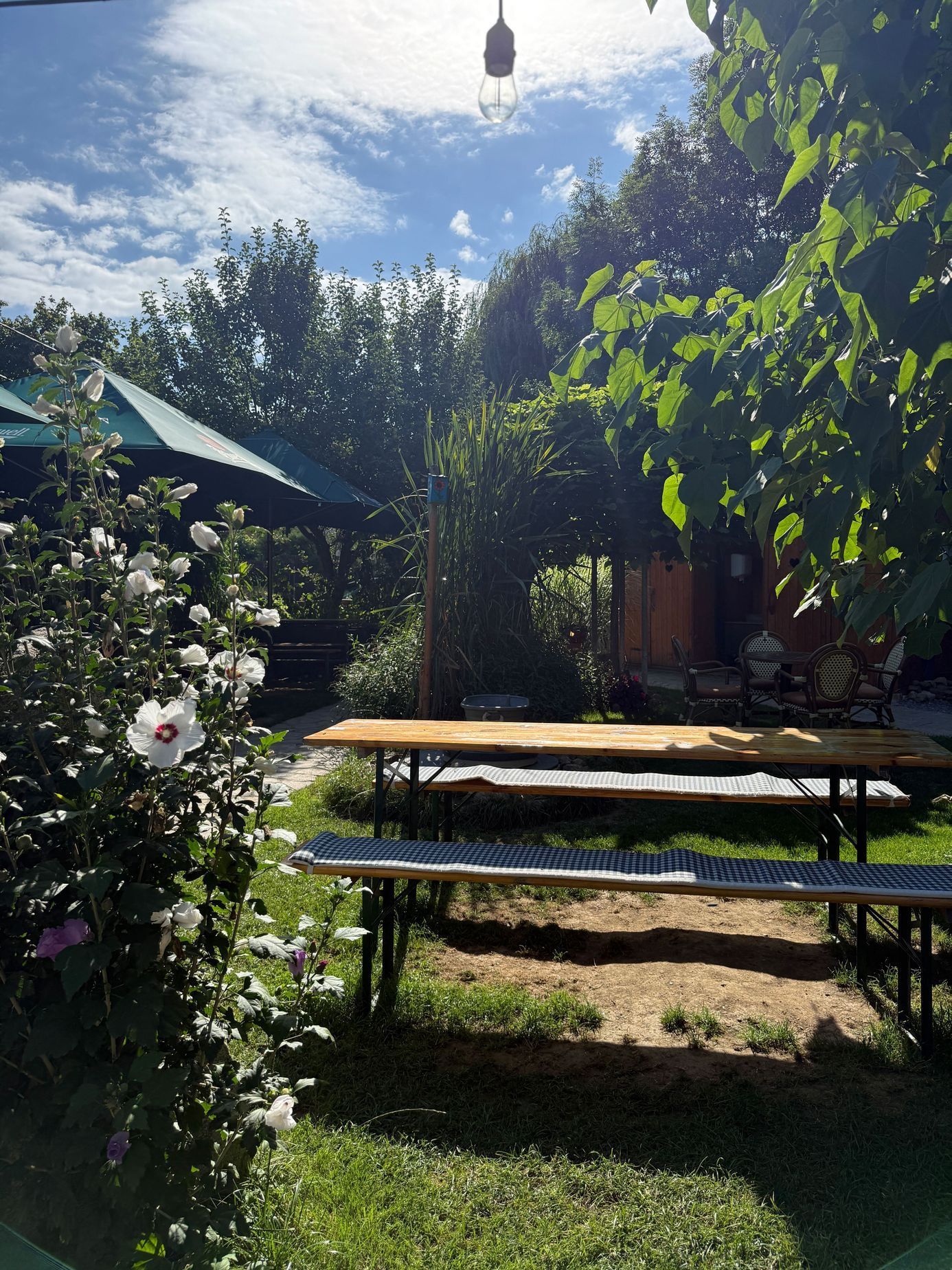 The Garden, bistro, jídlo, Srbsko, příroda, zahrada