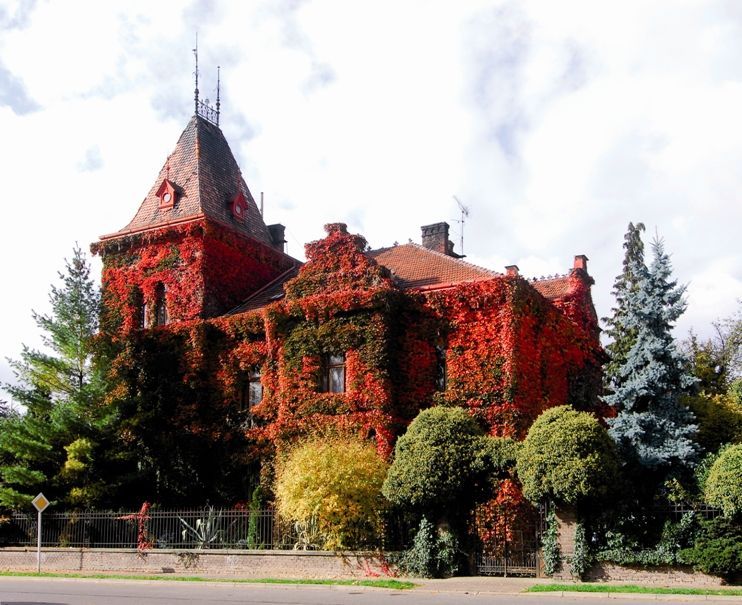 Wiplerova vila