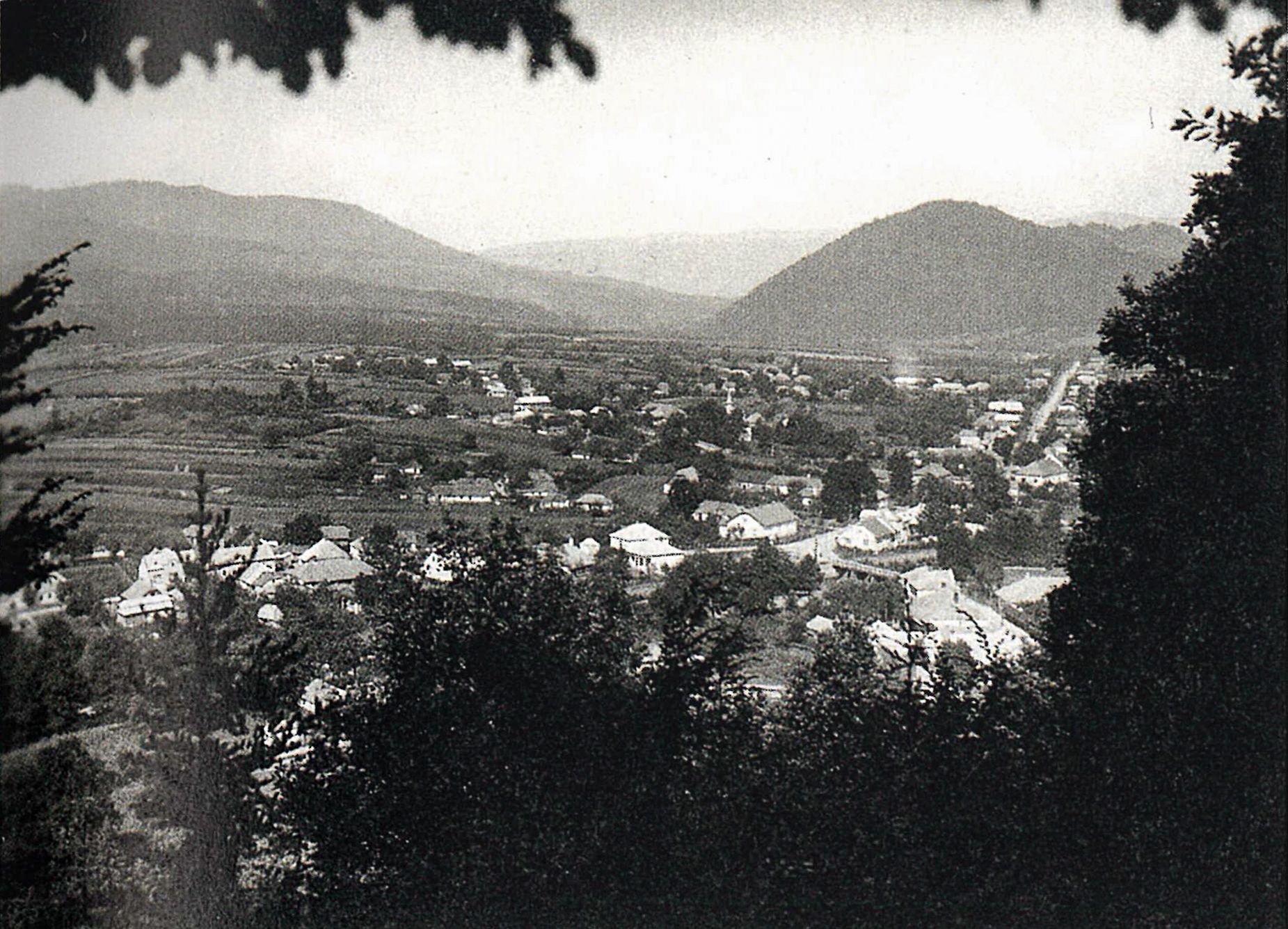Podkarpatská Rus, Československo, Zakarpatská oblast, historie, Zahraničí