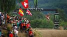 MS v Motokrosu Loket 2014: Maximilian Nagl (Honda), MXGP