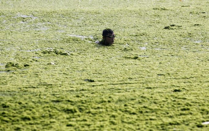 A boy swims swims in the algae-filled coastline of Qingdao, Shandong province July 3, 2013. REUTERS/Stringer (CHINA - Tags: ENVIRONMENT SOCIETY TPX IMAGES OF THE DAY) CHINA OUT. NO COMMERCIAL OR EDITORIAL SALES IN CHINA Published: Čec. 3, 2013, 3:20 odp.