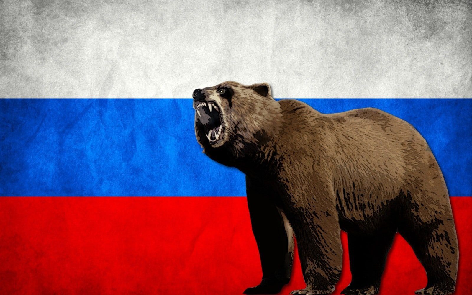 Ruský medvěd hrozba 2
