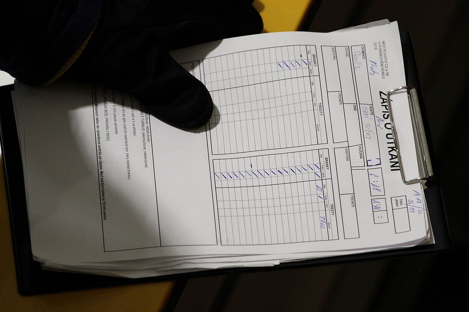 Mistrovství ČR a SR v rybníkovém hokeji