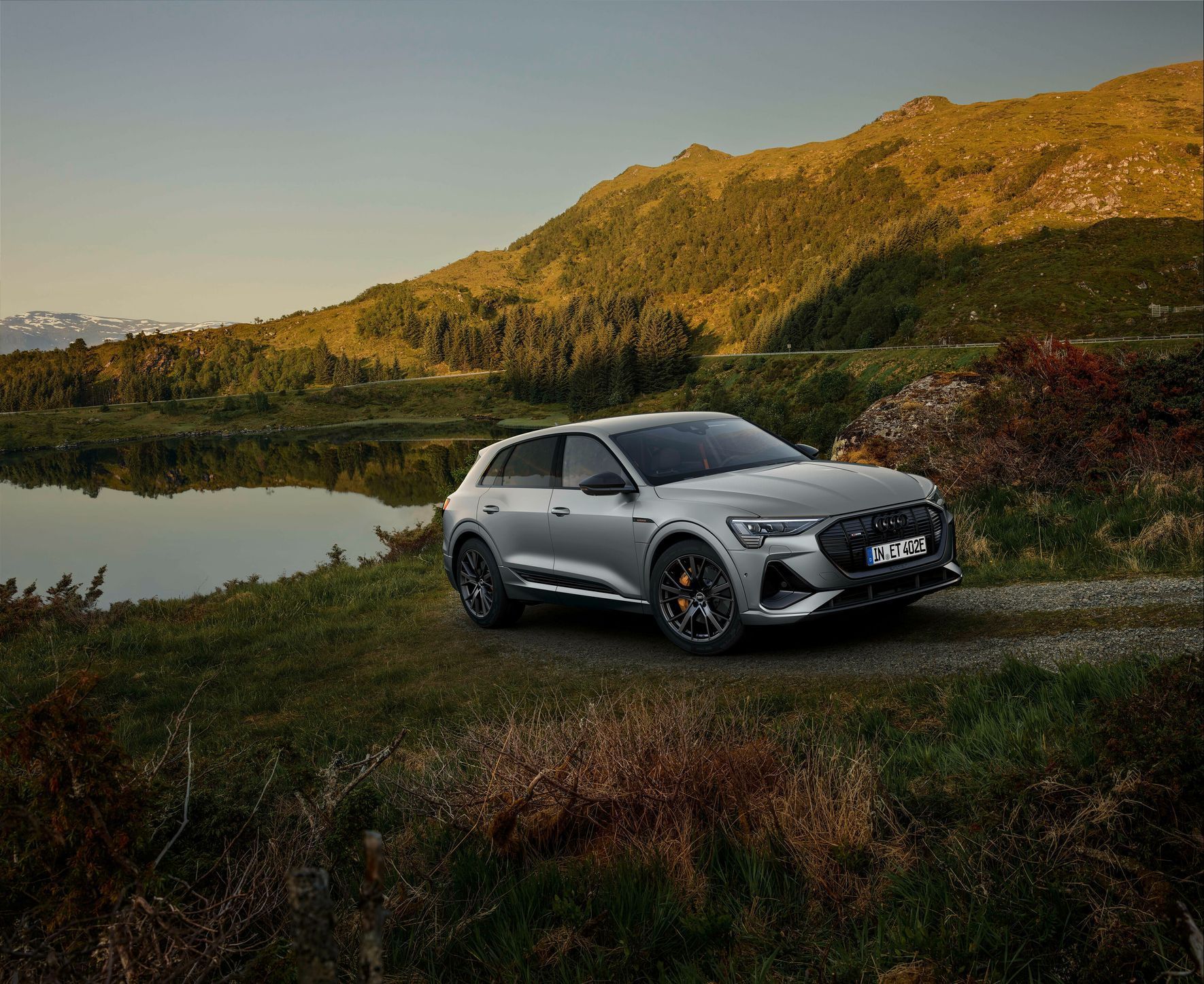 Audi e-tron 2021