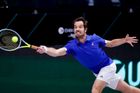 "Příznivý los." Čeští tenisté odehrají kvalifikaci Davisova poháru 2023 v Portugalsku