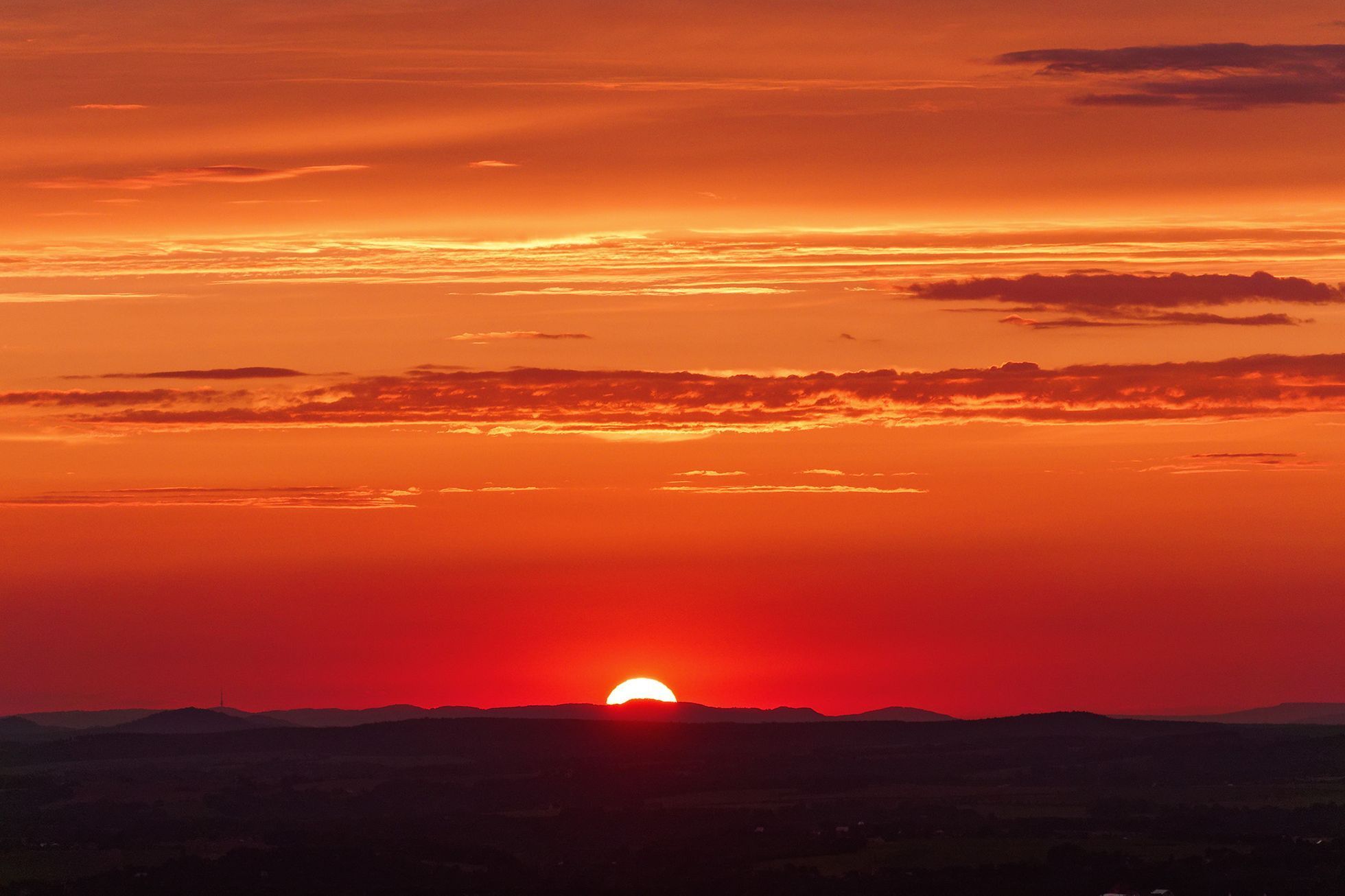 Včelař Martin Dědek, Mladostov v Českém ráji, srpen 2024