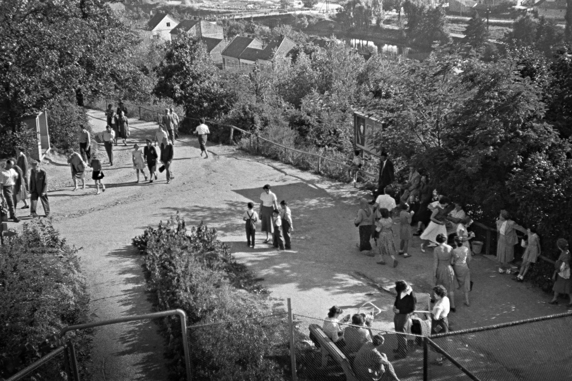 Zoo Brno, Brněnská zoo, zoo, zoologická zahrada, historie, výročí, Domácí