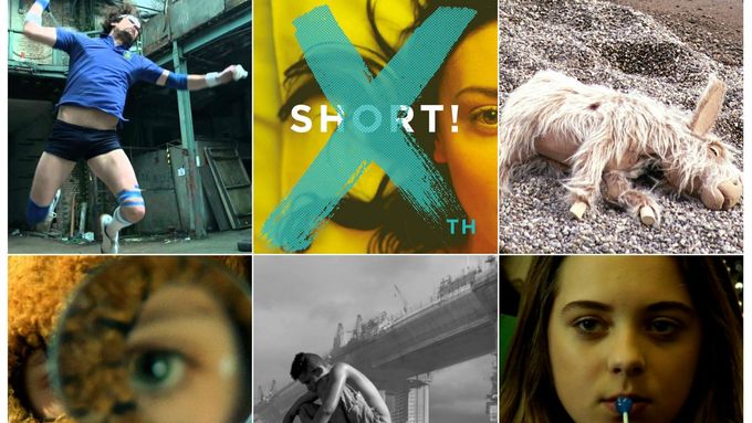 Podívejte se na deset tipů z programu Festivalu krátkých filmů.
