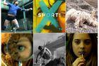 Short! aneb Deset skvostů desátého festivalu krátkých filmů