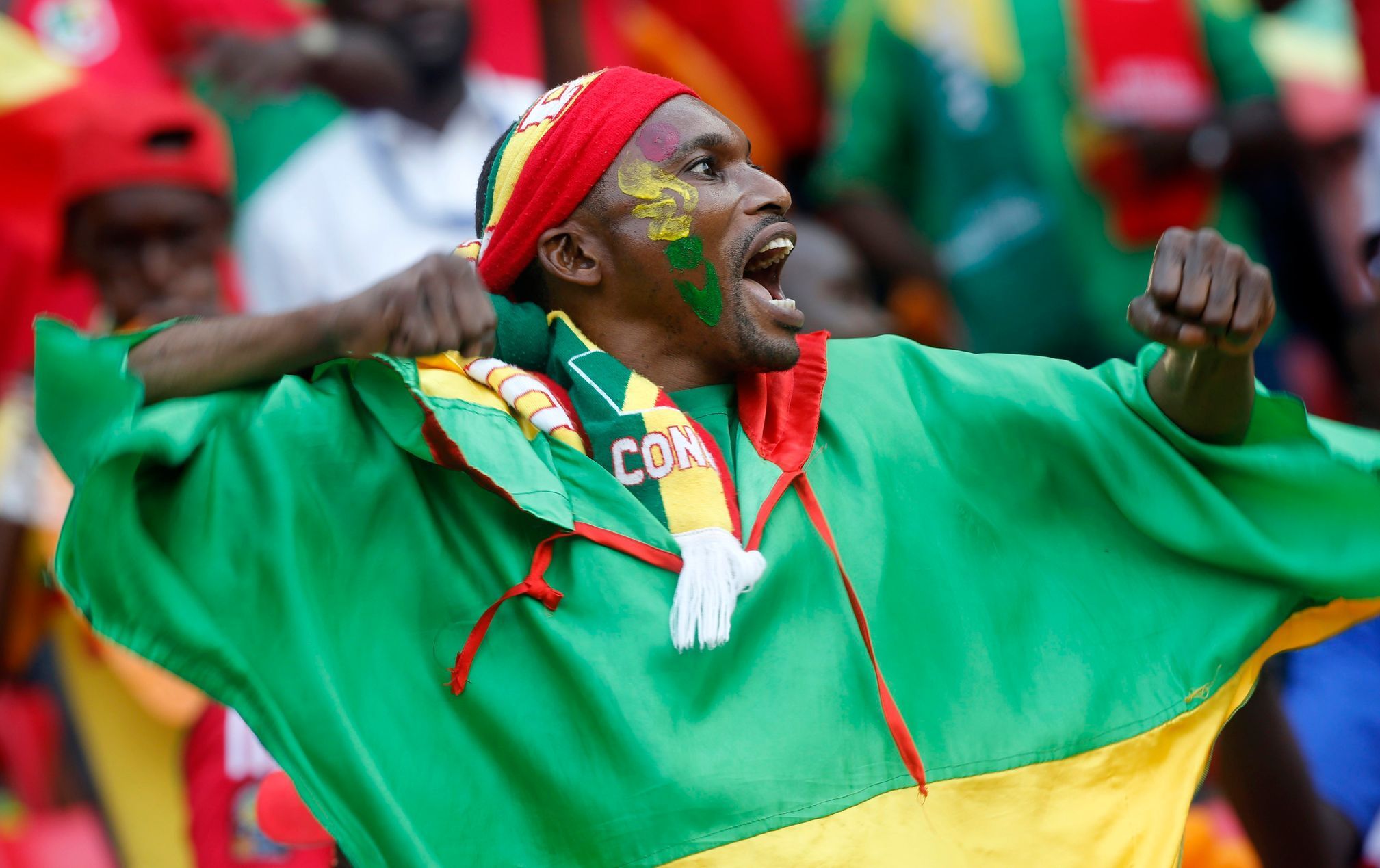 Mistrovství Afriky 2015: fanoušci