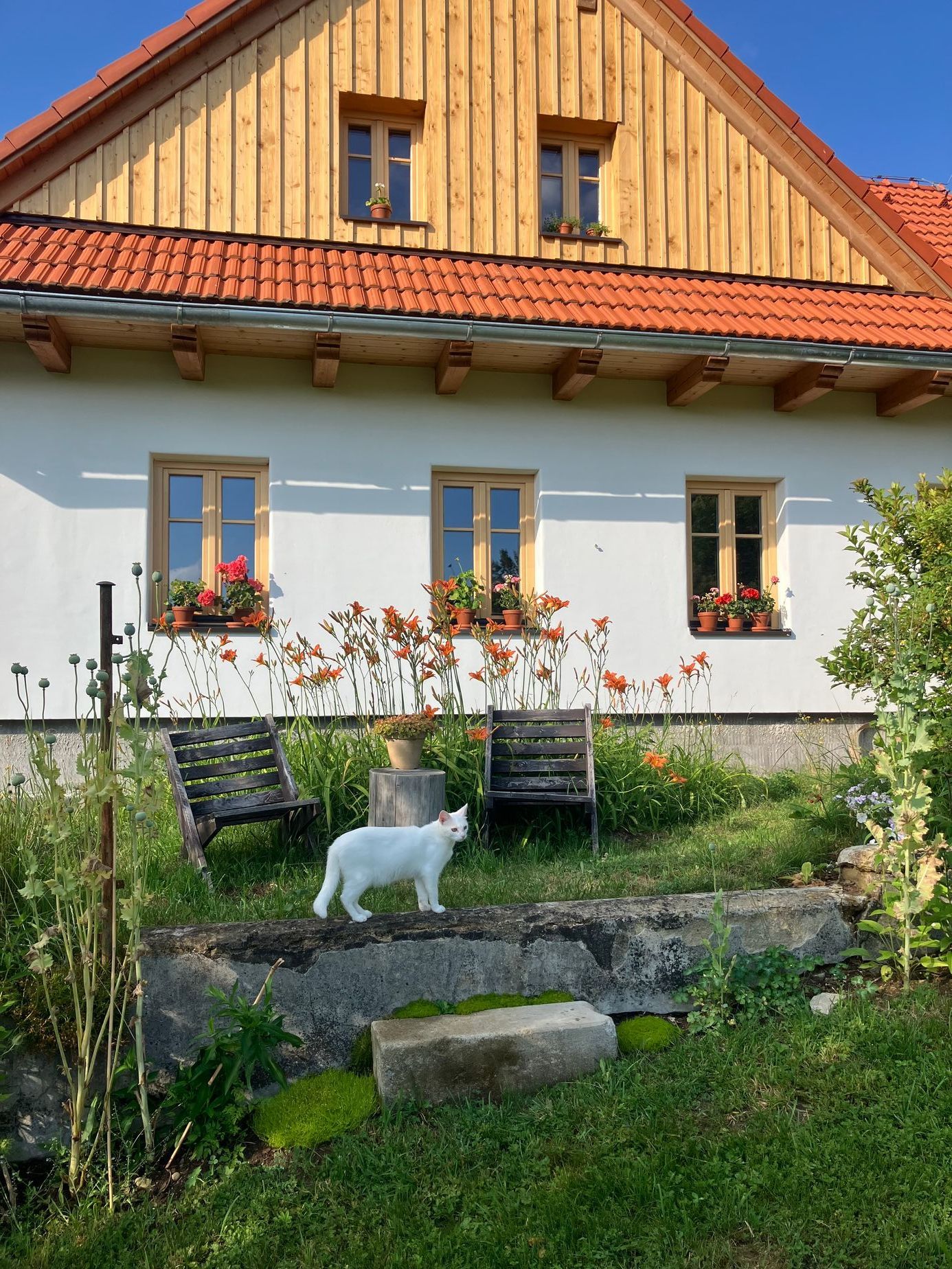 domeček na kopci, dům, rekonstrukce, zahrada, příběh