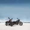 Harley-Davidson 1200 a Forty-Eight Special