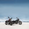 Harley-Davidson 1200 a Forty-Eight Special