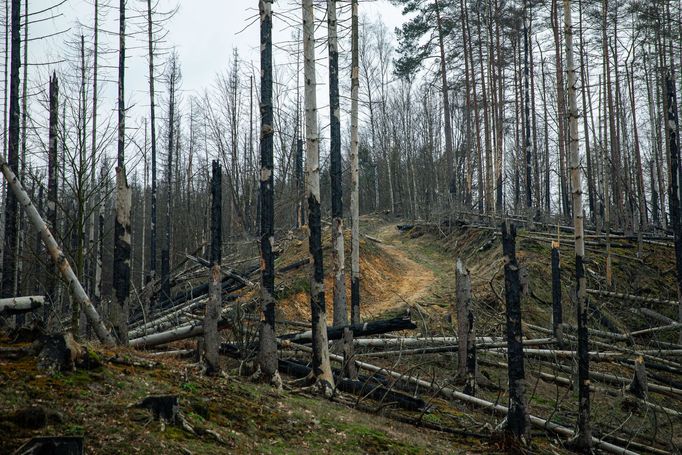 Hřensko.