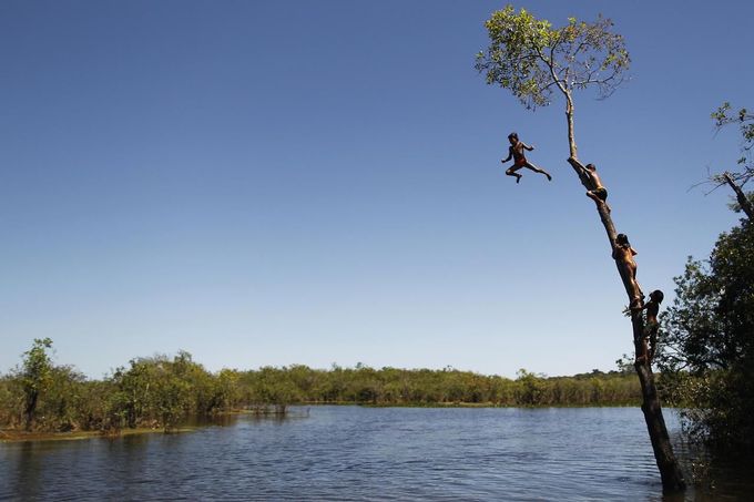 Yawalapiti children climb a tree to jump into the Xingu River in the Xingu National Park, Mato Grosso State, May 7, 2012. In August the Yawalapiti tribe will hold the Quarup, which is a ritual held over several days to honour in death a person of great importance to them. This year the Quarup will be honouring two people - a Yawalapiti Indian who they consider a great leader, and Darcy Ribeiro, a well-known author, anthropologist and politician known for focusing on the relationship between native peoples and education in Brazil. Picture taken May 7, 2012. REUTERS/Ueslei Marcelino (BRAZIL - Tags: SOCIETY ENVIRONMENT) ATTENTION EDITORS - PICTURE 26 OF 28 FOR PACKAGE 'LIFE WITH THE YAWALAPITI TRIBE' Published: Kvě. 15, 2012, 6:16 odp.