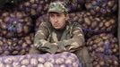 A man selling potatoes waits for customers during an autumn fair at a street market in Minsk October 13, 2012. REUTERS/Vasily Fedosenko (BELARUS - Tags: AGRICULTURE SOCIETY BUSINESS FOOD) Published: Říj. 13, 2012, 11:07 dop.