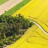 Řepkoland - letecké pohledy na žlutá řepková pole, zabírající více než desetinu půdy