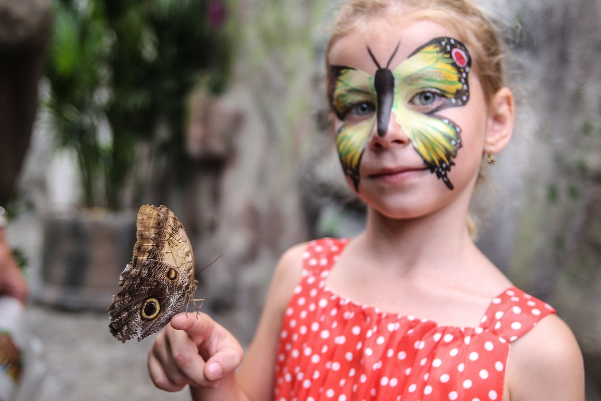 Motýlí dům v Praze v hračkářství Hamleys