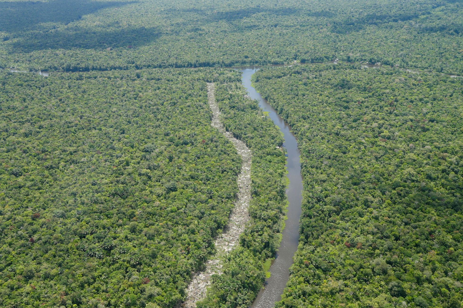 Амазонка река опасности