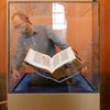 Lipnická bible: pohled do zákulisí výstavy v Klementinu