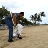 Fotogalerie / Havaj se připravuje na příchod hurikánu Lane / Srpen 2018 / Reuters / 5