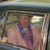 Princezna Diana ve Washingtonu