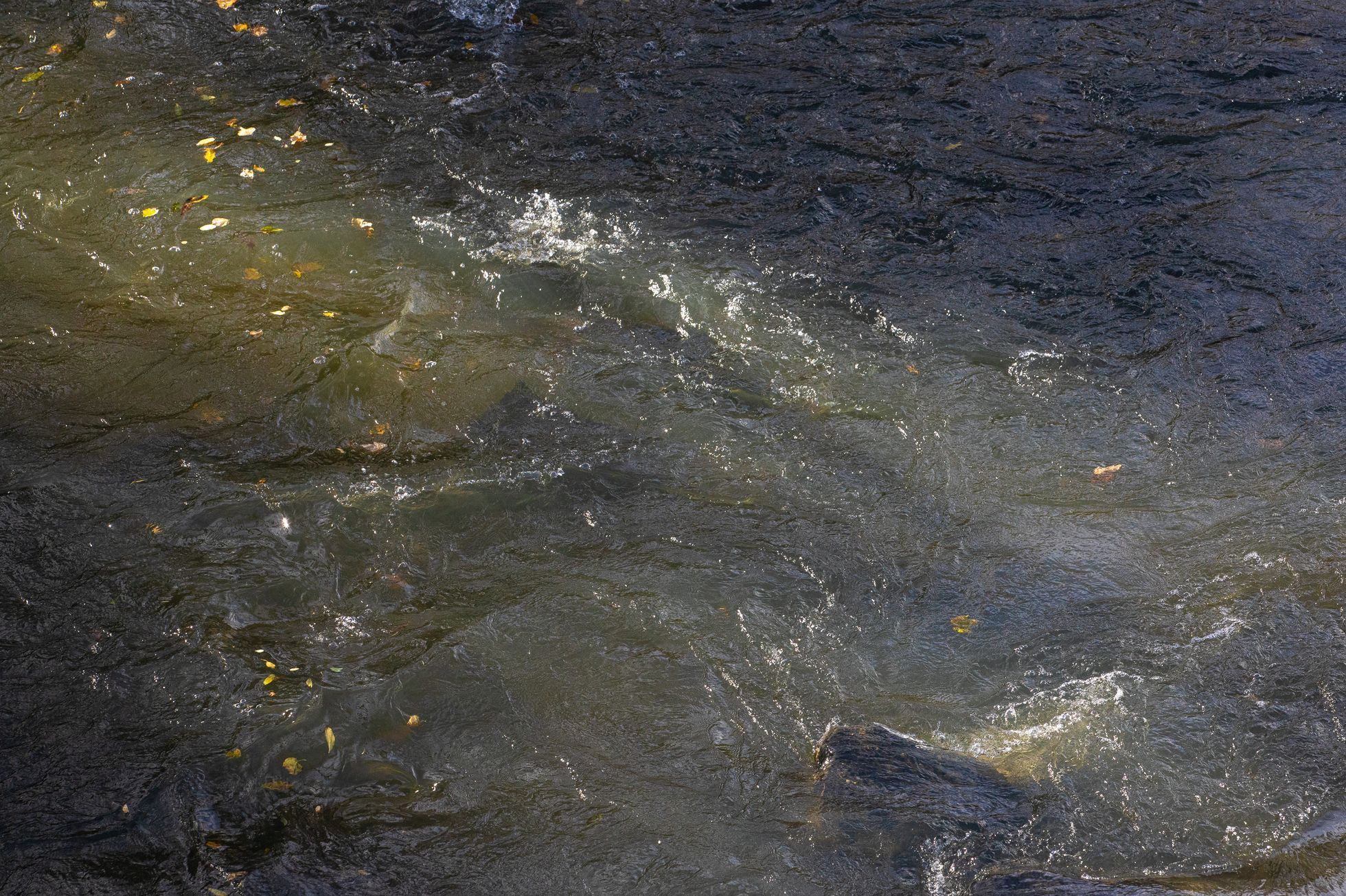 Řeka Bečva a její okolí po vynesení rozsudku