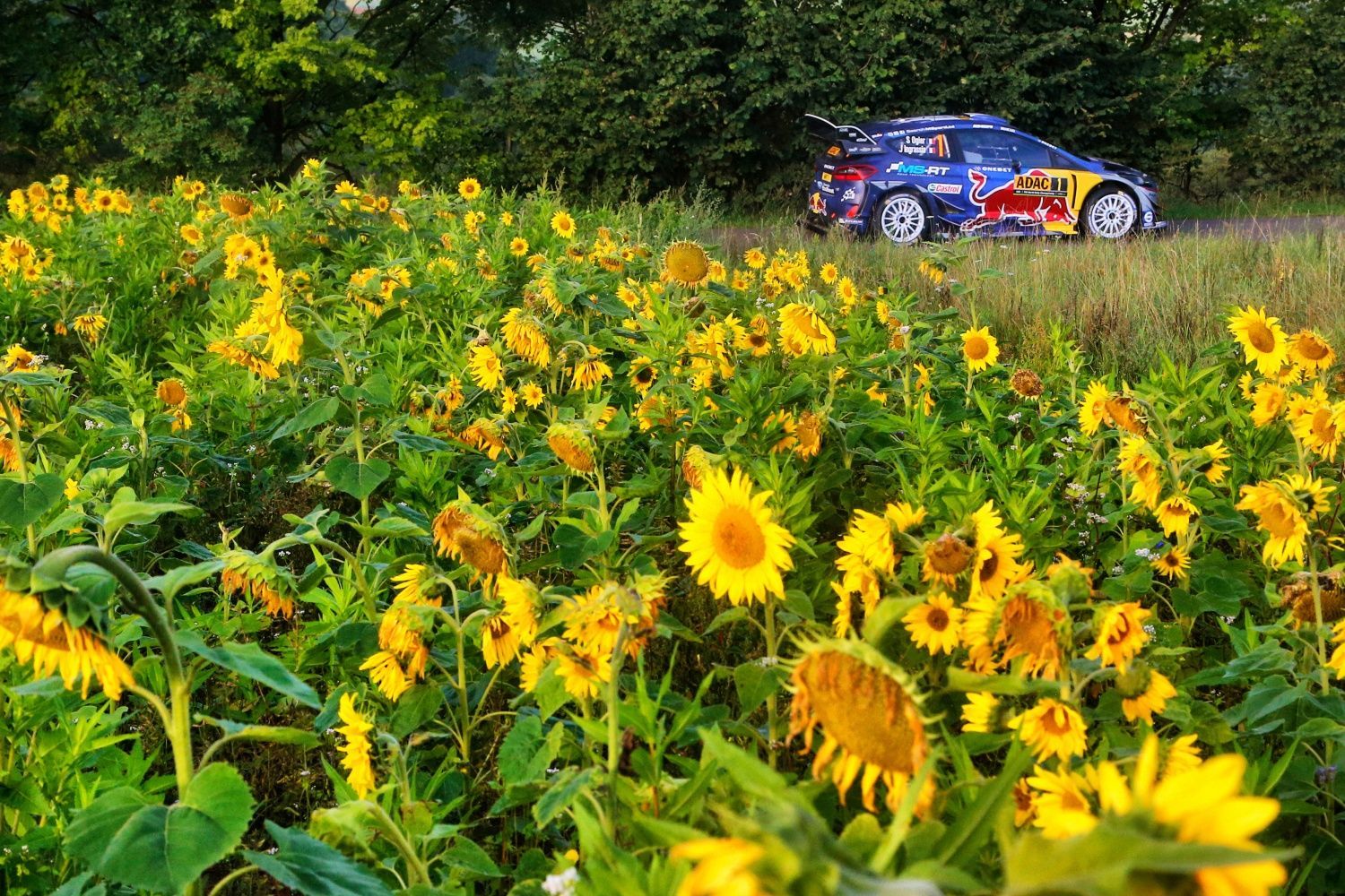 Německá rallye 2017: Sébastien Ogier, Ford Fiesta WRC