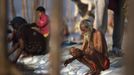 A Hindu devotee prays as he takes a holy dip in the waters of the Ganges river ahead of the "Kumbh Mela", or Pitcher Festival, in the northern Indian city of Allahabad January 10, 2013. During the festival, hundreds of thousands of Hindus take part in a religious gathering at the banks of the river Ganges. The festival is held every 12 years in different Indian cities. REUTERS/Ahmad Masood (INDIA - Tags: RELIGION SOCIETY) Published: Led. 10, 2013, 8:24 dop.