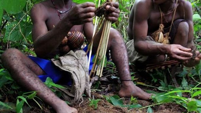 Pygmejci - trpasličí národ, který žije po tisíce let v souladu s přírodou. Je pravděpodobné, že se kdysi dostali i na ostrov Flores.