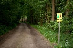 Kácení v Bělověžském pralese skončí. Polský ministr po kritice a rozsudku EU nařídil jeho zastavení