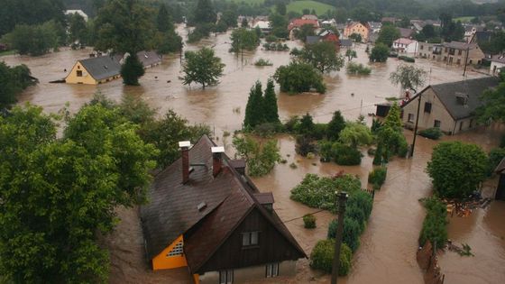 Místo vesnic a měst jedna řeka. A do Frýdlantu daleko