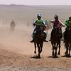 Mongolsko